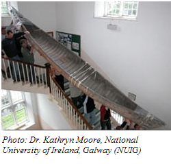 Photo: Dr. Kathryn Moore (NUIG)