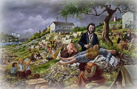 Dr Collins butler print