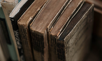 New Brunswick Political Biographies
