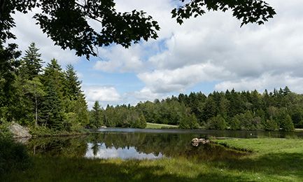 Our Irish Trail