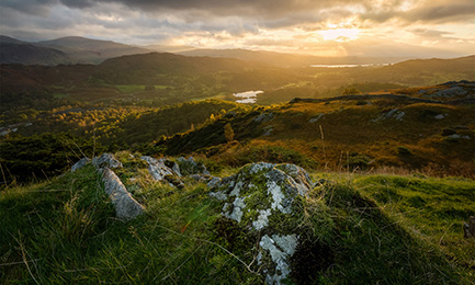 Irish-NB Facts and Trivia